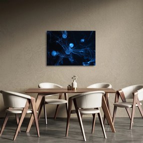 Üveg kép - Medúza (70x50 cm)