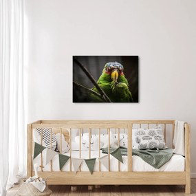 Papagáj képe (70x50 cm)