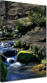 Vászonkép 80x120 Hegyi patak