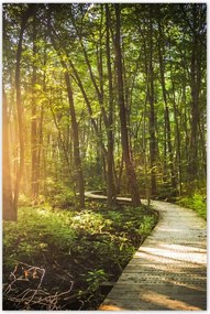 Poszterek 80x120 Napsugár a sétán