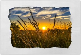 Poszterek 90x60 Naplemente a fĂŒvek között