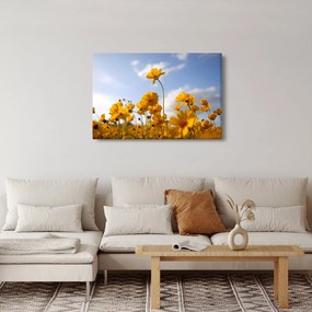 Fényes sárga virágokkal rendelkező mező képe (90x60 cm)