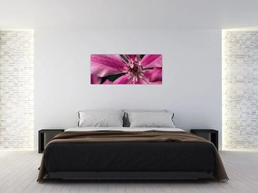 Rózsaszín flamingóvirág képe (120x50 cm)