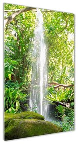 Akril üveg kép Vízesés a dzsungelben oav-113827888