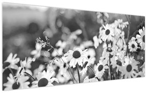 Kép - Százszorszépek (120x50 cm)