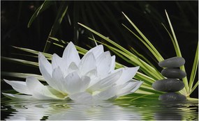 Fotótapéta Flizelin Dekoratív tapéta Liliom meditáció 416x254 Ragasztó