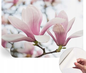 Öntapadós fotótapéta a konyhába Mosható Magnólia virágok 312x219 cm