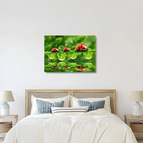 Üveg kép - A hét nap napfénye (70x50 cm)