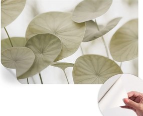 Öntapadós fotótapéta Falra 3D Loft Természetes elegancia 416x254 cm