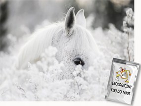 Fotótapéta Flizelina Ló Fehér Romantikus paripa 250x175 ragasztó