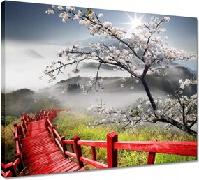 Vászonkép 50x40 Vörös híd Japánban