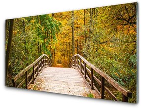 Üvegfotó Forest Bridge architektúra 120x60cm 4 fogas