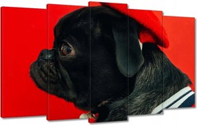 Vászonkép 100x60 Kutya Kutyák