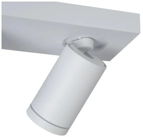 Lucide 09930/10/31 - LED Dimmelhető spotlámpa TAYLOR 2xGU10/5W/230V IP44