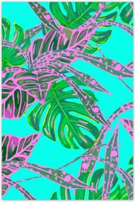 Poszterek 80x120 Monstera Rózsalevelek