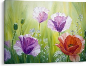 Kép - Pipacsok (70x50 cm)