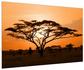 Afrikai szavanna képe (90x60 cm)