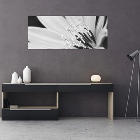 Kép - Fekete-fehér virág (120x50 cm)