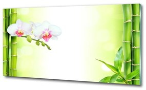 Egyedi üvegkép Orchidea és bambusz osh-82165838