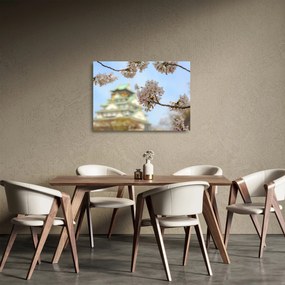 Üveg kép - Sakura (70x50 cm)