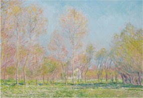 Fotótapéta Flizelin Dekoratív Iroda Tavaszi park 152x104 Ragasztó