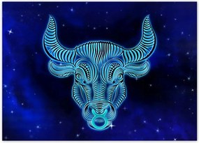 Poszterek 70x50 Csillagjegy Bika Taurus