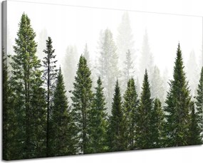 Vászonkép Esőerdő Természet Fák 120x80 cm