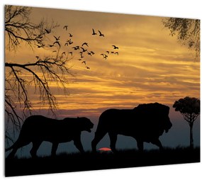 Safari képe (70x50 cm)