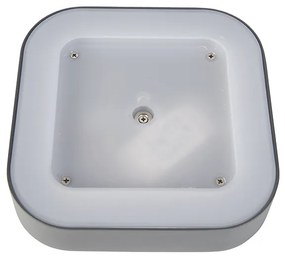 Fali és mennyezeti lámpa szürke négyzet alakú IP54 - Ariel