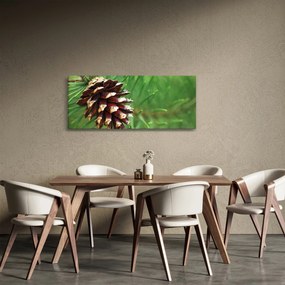Fenyőtoboz képe (120x50 cm)