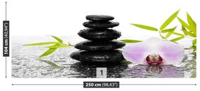 Fotótapéta Kövek és orchidea 104x70 cm