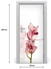 Fotótapéta ajtóra rózsaszín orchidea 85x205 cm