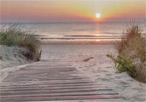 Fotótapéta Naplemente Tengerpart Fa ösvény 350x250 +ragasztó