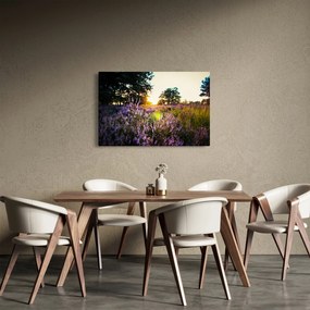 Egy levendulamező képe (90x60 cm)