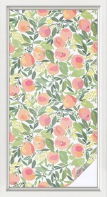 Szélvédőfólia Ablak Adatvédelem Gyümölcsös mintás 50x100 cm