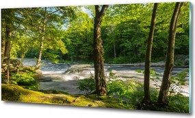 Fotó üvegkép Patak az erdőben 125x50