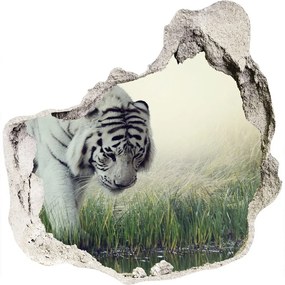 3d lyuk fal dekoráció Fehér tigris nd-p-84071201