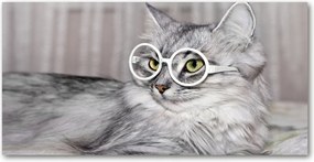 Fotótapéta üvegfalra Macska szemüveggel 140x70