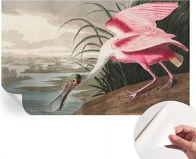 Öntapadós fotótapéta Konyha Mosható Egzotikus madár 416x254 cm