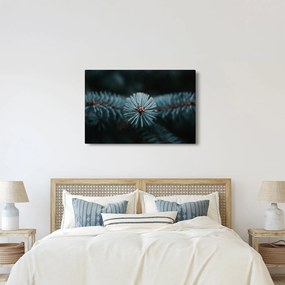 Egy tűlevelű fa gallyának képe (90x60 cm)