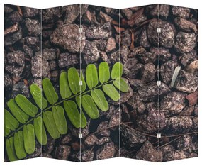 Paraván -  Zöld növények (210x170 cm)