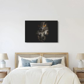 Bagoly képe (90x60 cm)