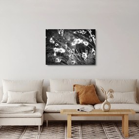 Üveg kép - Pókháló a réten (70x50 cm)