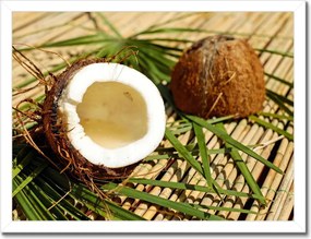 Poszterek keretben 40x30 Kókusz variációk Konyha