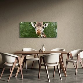 Egy zsiráf képe (120x50 cm)
