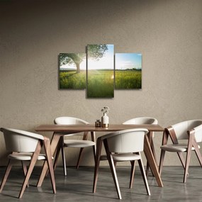 Egy fa képe a mezőn (90x60 cm)