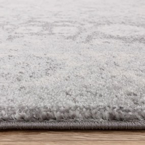 Világosszürke szőnyeg 160x230 cm Muse Heritage Grey Silver – Asiatic Carpets