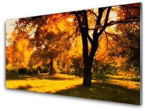 Üvegkép Fák őszi természet 100x50 cm