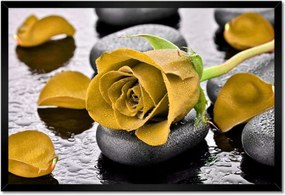 Poszterek keretben 60x40 Sárga rózsa köveken