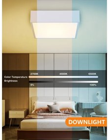 Immax NEO 07238L - LED dimmelhető mennyezeti lámpa CANTO 22W/230V fehér Tuya + t